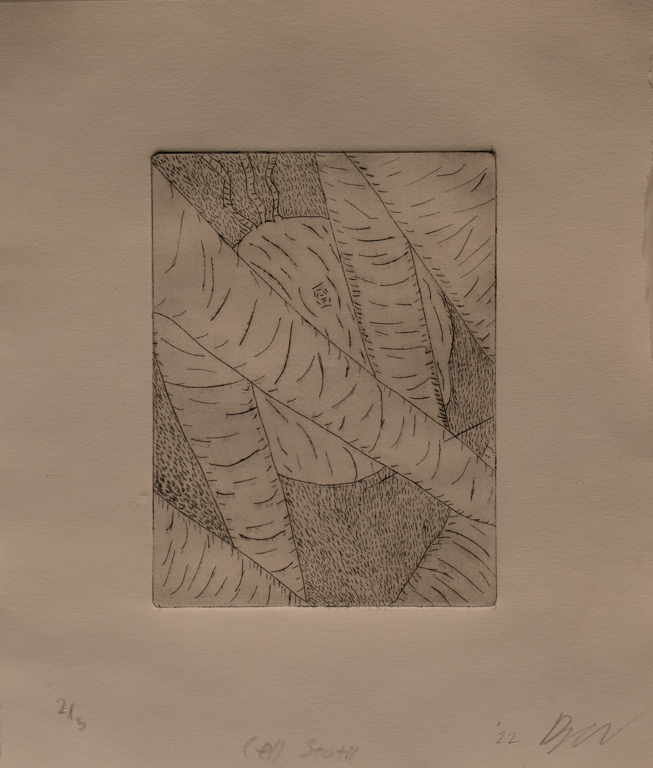 ink print of a seemingly microscopic image