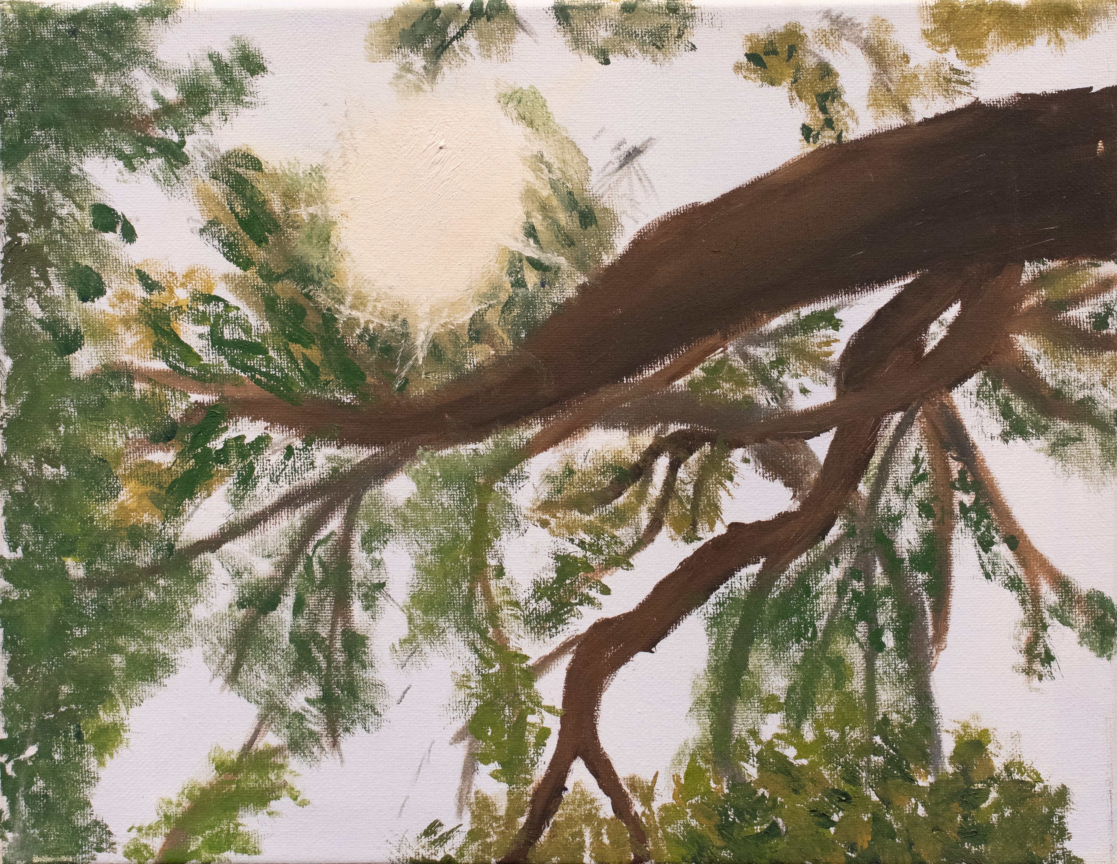 painting looking through a tree